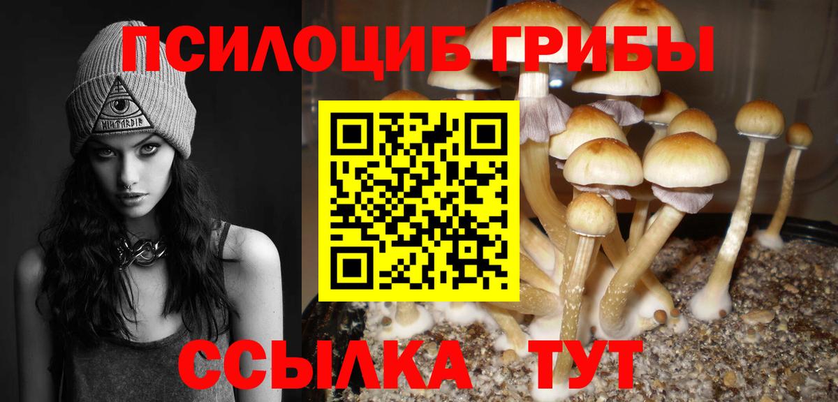 Великий Новгород  Псилоцибиновые грибы Magic Shrooms  наркошоп  Псилоцибиновые грибы ЛСД  Вход с VPN 
